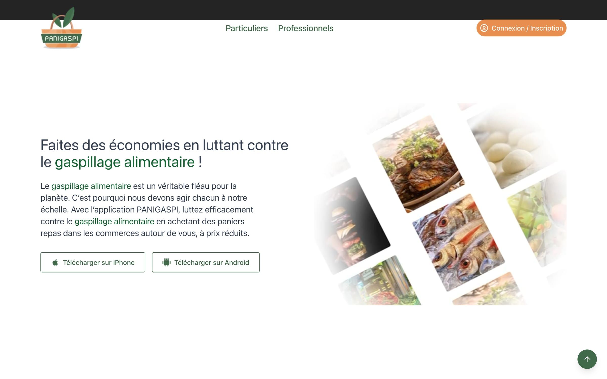 Capture de la page d'accueil du site Panigaspi